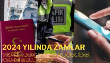 2024 yılı vergi, harç ve cezalara zam oranı belli oldu: Kırmızı ışıkta geçmenin cezası 1506 TL