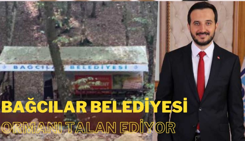 Bağcılar Belediyesi Belgrad Ormanı'nı talan ediyor: Betona boğdular