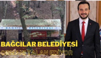 Bağcılar Belediyesi Belgrad Ormanı'nı talan ediyor: Betona boğdular