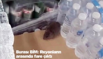 Burası BİM: Reyonların arasında fare çıktı
