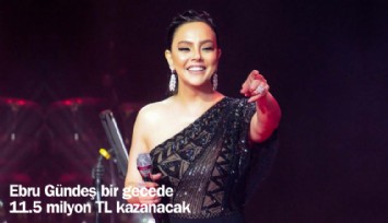 Ebru Gündeş bir gecede 11.5 milyon TL kazanacak