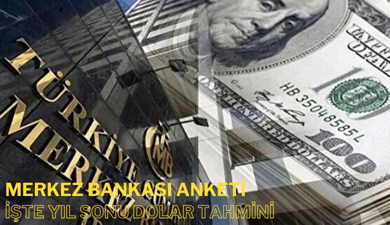 Merkez Bankası anketinde yıl sonu dolar tahmini yükseldi