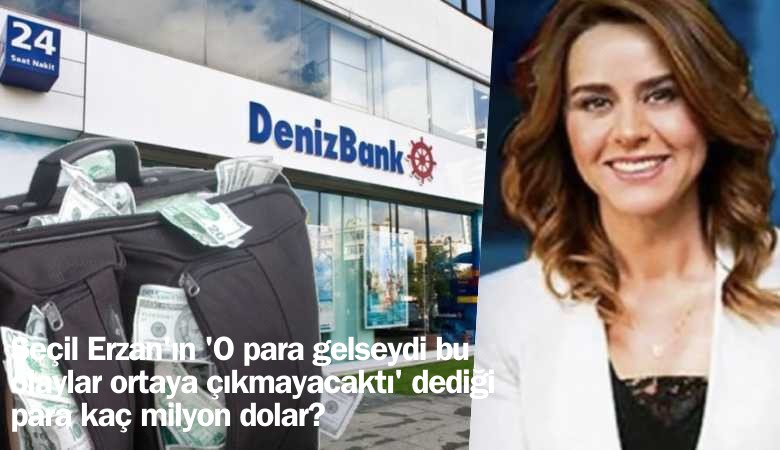 Seçill Erzan'ın 'O para gelseydi bu olaylar ortaya çıkmayacaktı' dediği para kaç milyon dolar?