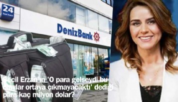 Seçill Erzan'ın 'O para gelseydi bu olaylar ortaya çıkmayacaktı' dediği para kaç milyon dolar?