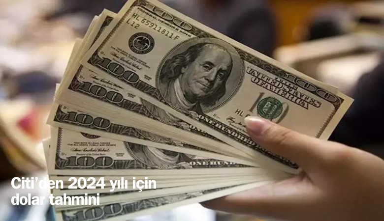 Citi'den 2024 yılı dolar tahmini; 40 TL için tarih verdi