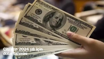Citi'den 2024 yılı dolar tahmini; 40 TL için tarih verdi