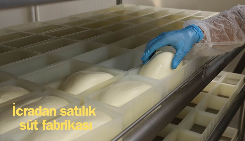 İcradan satılık süt fabrikası