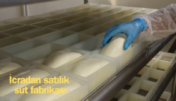 İcradan satılık süt fabrikası