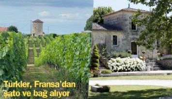 Türkler, Fransa'dan şato ve bağ alıyor; Fransa'dan bir dönüm bağ, Türkiye'den ucuz mu?
