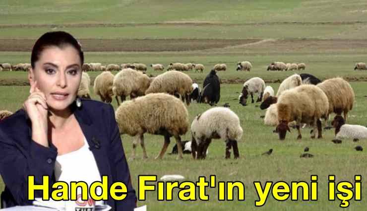 3.5 milyon TL hibe alan Hande Fırat: Amacımız Türkiye'ye yararlı olmak