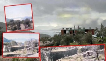 Fethiye Göçek'te doğa katliamı! Zeytinlik alanı yok ettiler