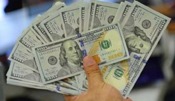 Dolar yeni zirvesini gördü
