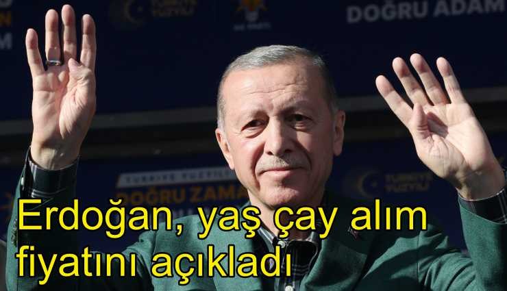 Erdoğan, yaş çay alım fiyatını açıkladı: 11 TL 30 kuruş
