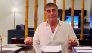 Sedat Peker'den uzun süre sonra ilk paylaşım