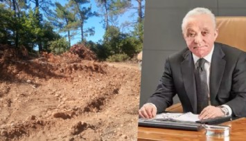 Mehmet Cengiz, Kazdağları'nda ağaç kesimine başladı