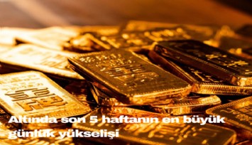 Altında son 5 haftanın en büyük günlük yükselişi
