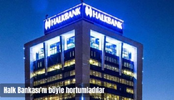 Bankacı da şirket sahibi de işin içinde: Halk Bankası'nı böyle hortumladılar