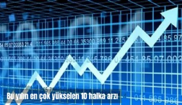 Bu yılın en çok yükselen 10 halka arzı: Yüzde 1100 prim yaptı