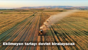 Ekilmeyen tarlayı devlet kiralayacak
