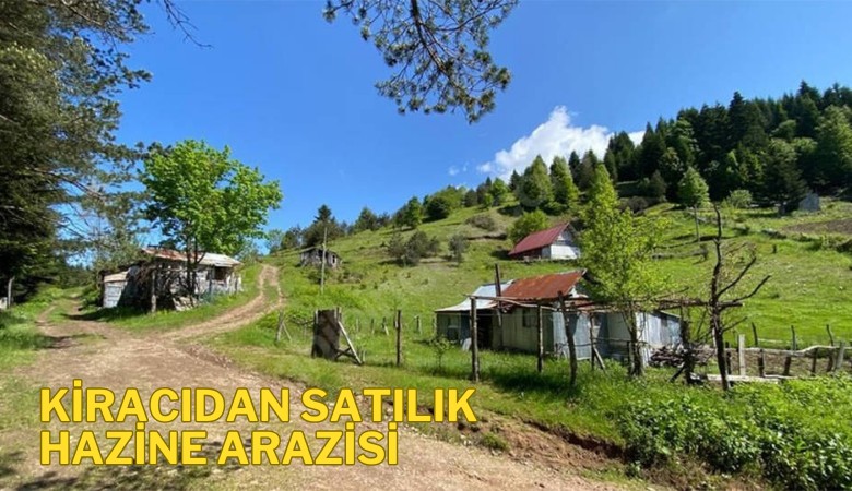 Emlak vurgunu! Kiracıdan satılık hazine arazisi