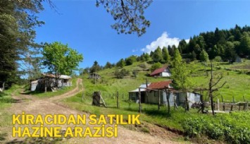 Emlak vurgunu! Kiracıdan satılık hazine arazisi