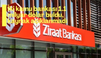 İki kamu bankası 1.1 milyar dolar buldu, kaynak açıklanmadı
