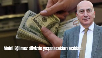 Mahfi Eğilmez dövizde yaşanacakları açıkladı