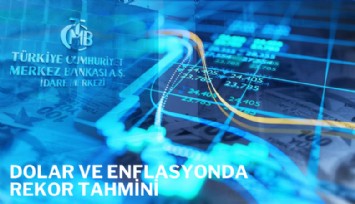 Merkez Bankası'ndan dolar ve enflasyonda rekor tahmini