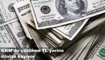 Vatandaş ikna olmadı: KKM'de çözülme TL yerine dövize kayıyor