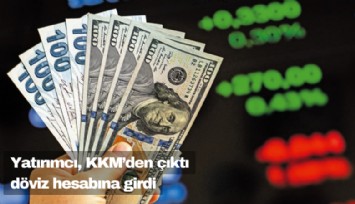 Yatırımcı KKM'den çıktı, 4.5 milyar dolarlık döviz aldı