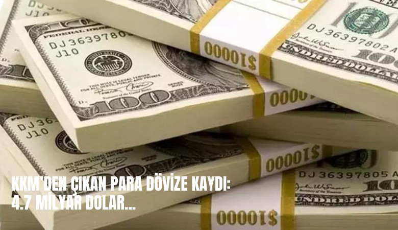 KKM'den çıkan para dövize kaydı: Bir haftada 4.7 milyar dolar