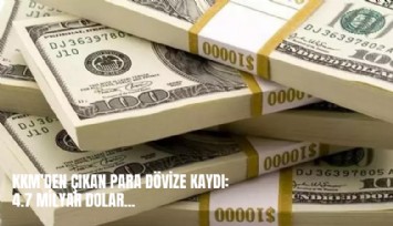 KKM'den çıkan para dövize kaydı: Bir haftada 4.7 milyar dolar