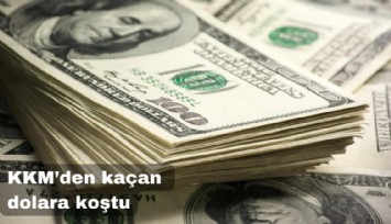 TL mevduat faizleri 45'e yaklaştı ama KKM'den kaçan dolara koştu