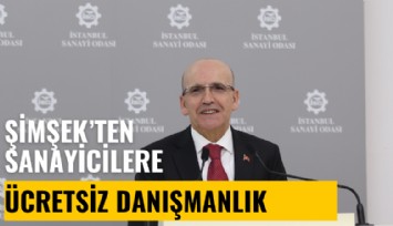 Bakan Şimşek'ten sanayicilere 35 milyar dolarlık kaynak için ücretsiz danışmanlık