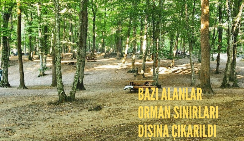 Bazı alanlar orman sınırları dışına çıkarıldı