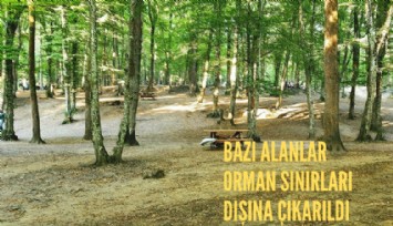 Bazı alanlar orman sınırları dışına çıkarıldı