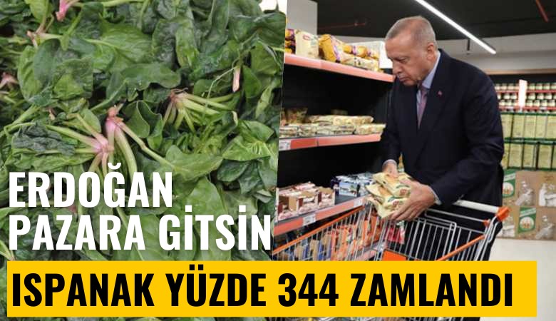 Cumhurbaşkanı Erdoğan pazara gitsin: Ispanak yüzde 344 zamlandı