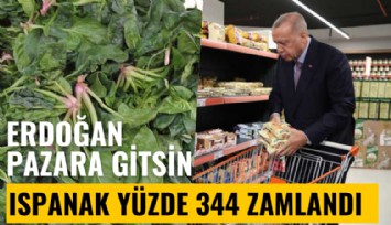 Cumhurbaşkanı Erdoğan pazara gitsin: Ispanak yüzde 344 zamlandı