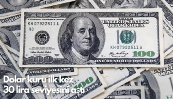 Dolar kuru ilk kez 30 lira seviyesini aştı