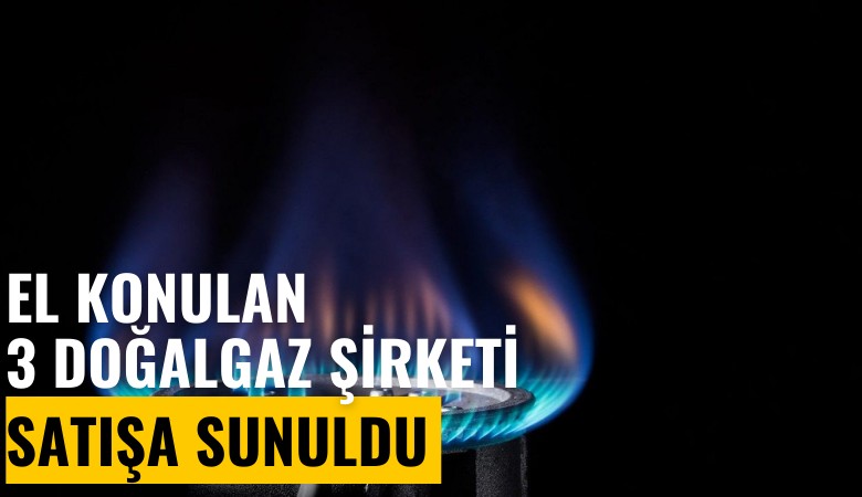 El konulan 3 doğalgaz dağıtım şirketi satışa sunuldu