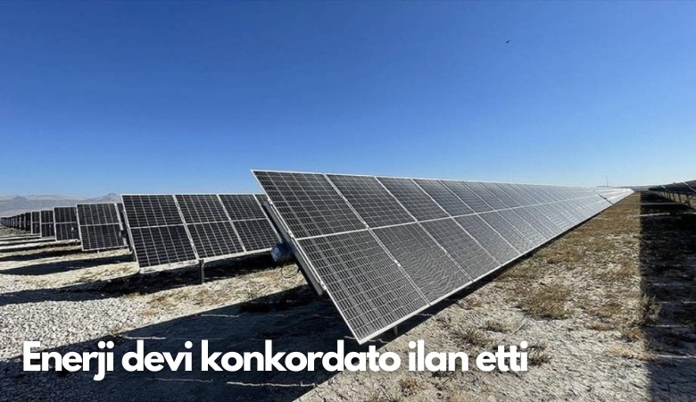 Enerji devi konkordato ilan etti