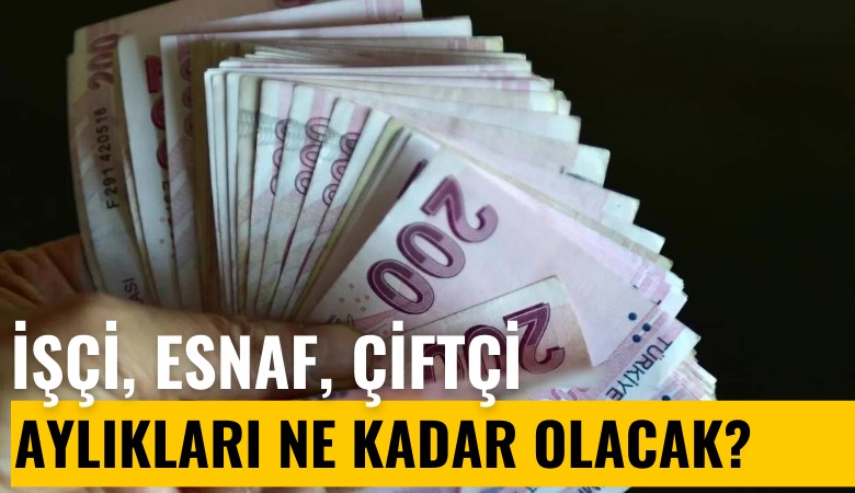 İşçi, esnaf, çiftçi aylıkları ne kadar olacak?