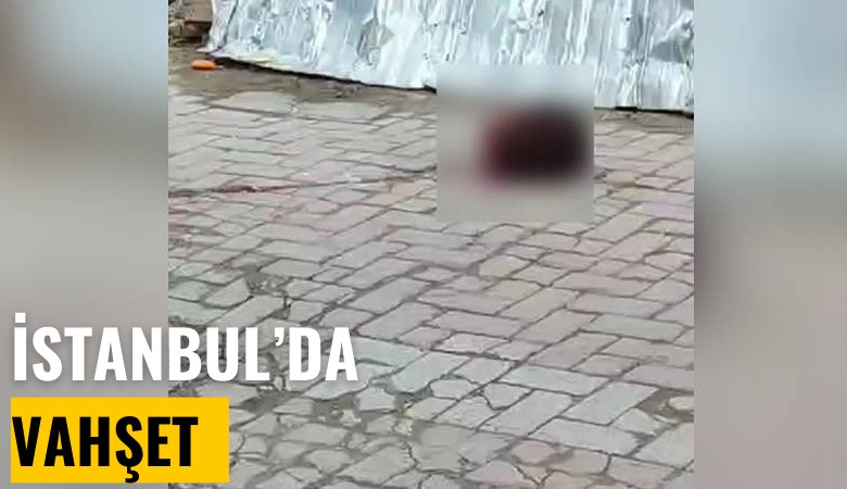 İstanbul'da vahşet: Arkadaşının başını kesip camdan attı