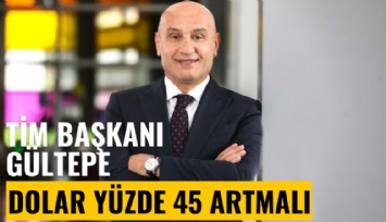 TİM Başkanı Gültepe: Dolar, TL karşısında yüzde 45 artmalı