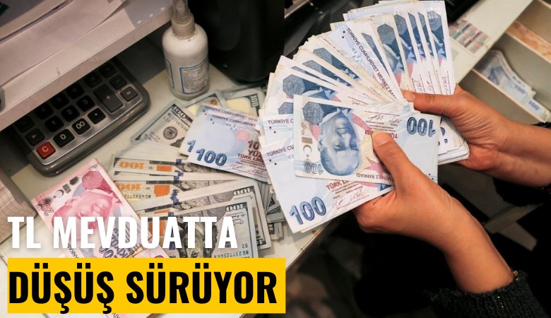 TL mevduatında düşüş sürüyor