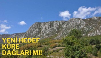 Yeni hedef Küre Dağları mı!