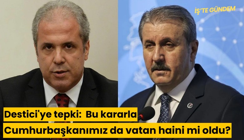 AKP'li isimden Destici'ye tepki:  Bu kararla Cumhurbaşkanımız da vatan haini mi oldu?