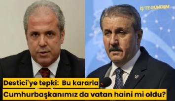 AKP'li isimden Destici'ye tepki:  Bu kararla Cumhurbaşkanımız da vatan haini mi oldu?
