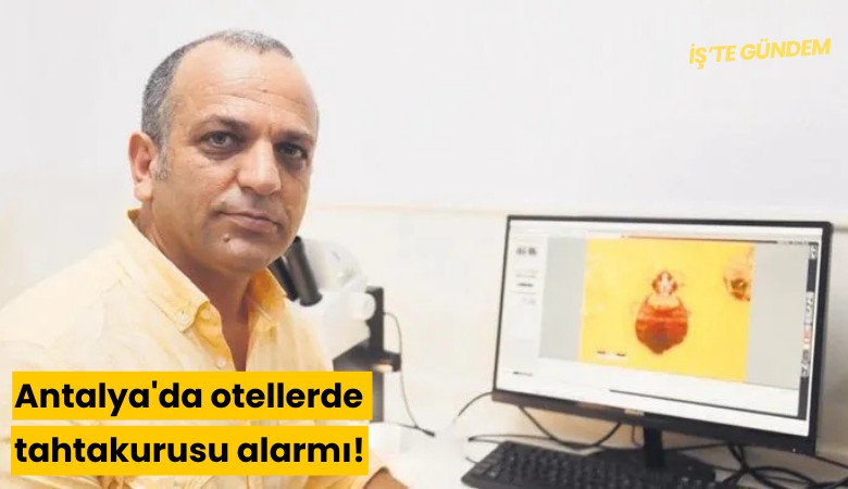 Antalya'da otellerde tahtakurusu alarmı!