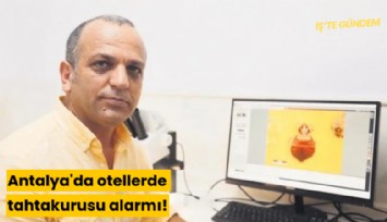 Antalya'da otellerde tahtakurusu alarmı!